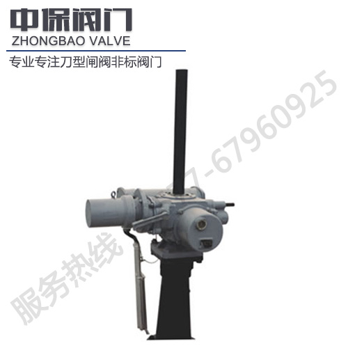 手電動(dòng)兩用啟閉機(jī)QD